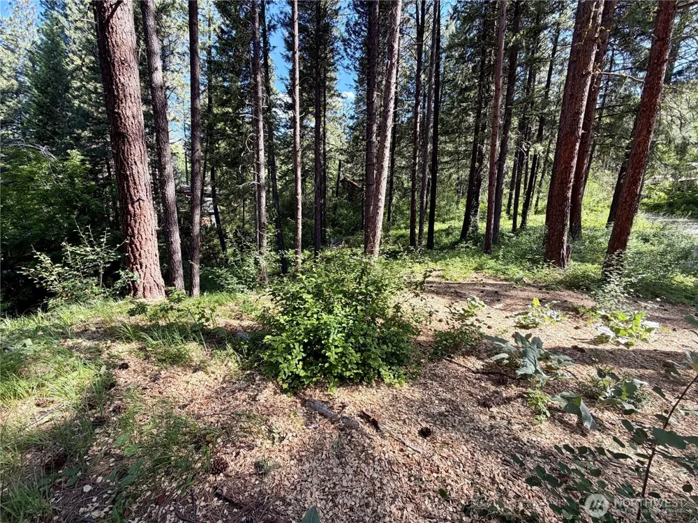 11 Highland Meadows Winthrop, WA 98862