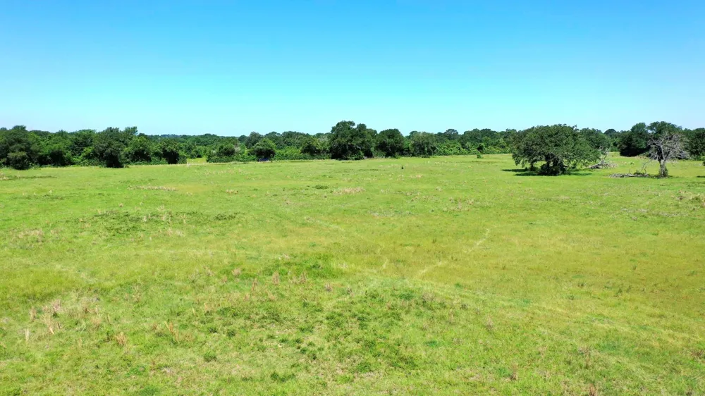4442 Poteet Road Normangee, TX 77871