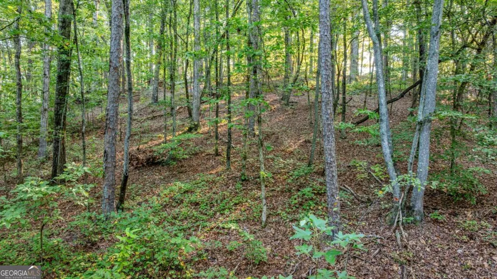 0 Myrtle DR Dahlonega, GA 30533