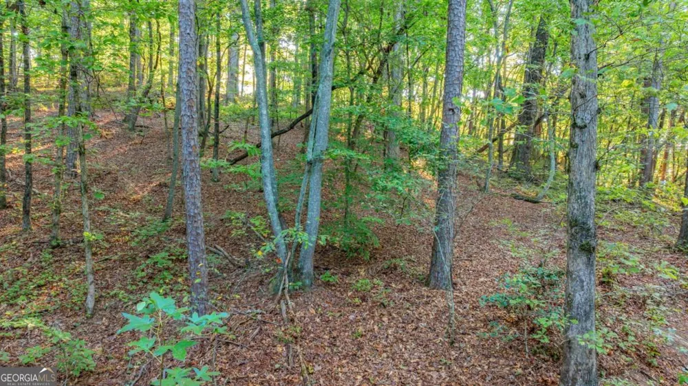0 Myrtle DR Dahlonega, GA 30533