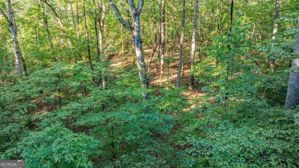 0 Myrtle DR Dahlonega, GA 30533