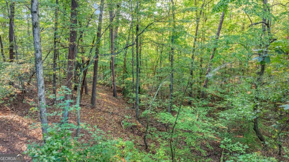 0 Myrtle DR Dahlonega, GA 30533