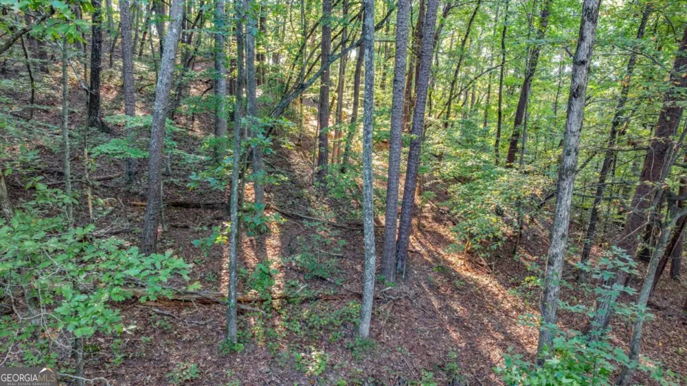 0 Myrtle DR Dahlonega, GA 30533