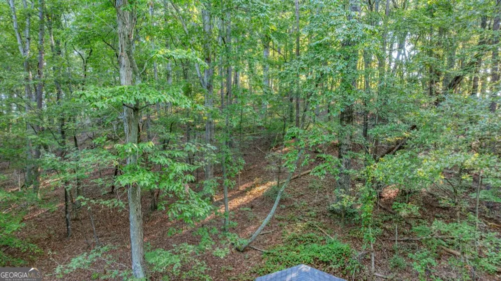 0 Myrtle DR Dahlonega, GA 30533