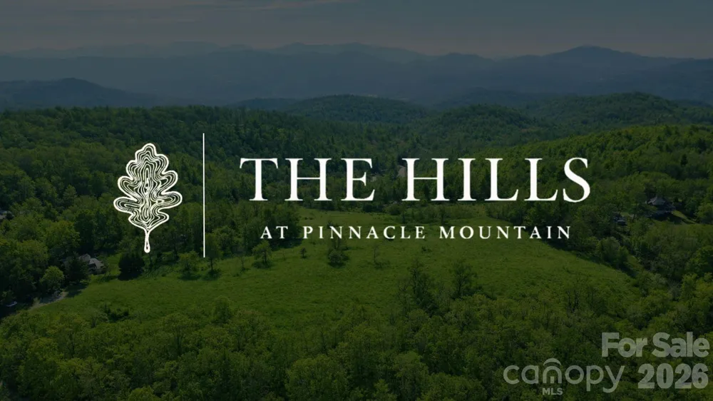 4105 Pinnacle Mountain Road Zirconia, NC 28790
