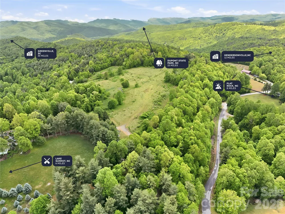 4105 Pinnacle Mountain Road Zirconia, NC 28790