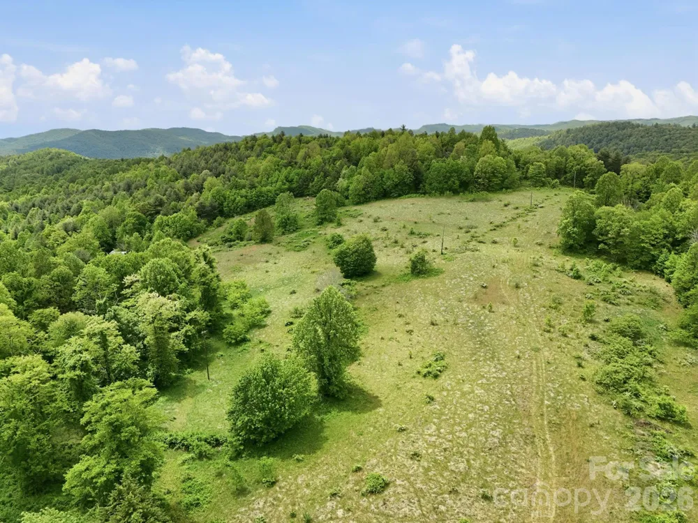 4105 Pinnacle Mountain Road Zirconia, NC 28790