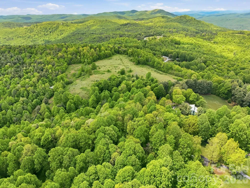 4105 Pinnacle Mountain Road Zirconia, NC 28790