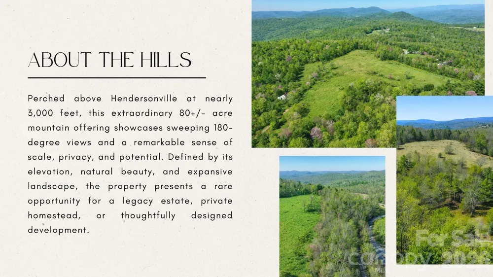 4105 Pinnacle Mountain Road Zirconia, NC 28790