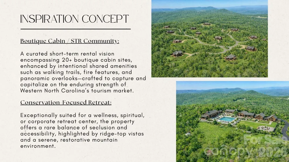 4105 Pinnacle Mountain Road Zirconia, NC 28790