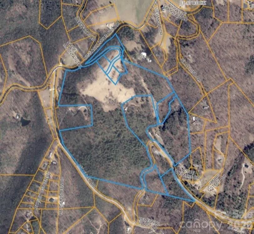 4105 Pinnacle Mountain Road Zirconia, NC 28790