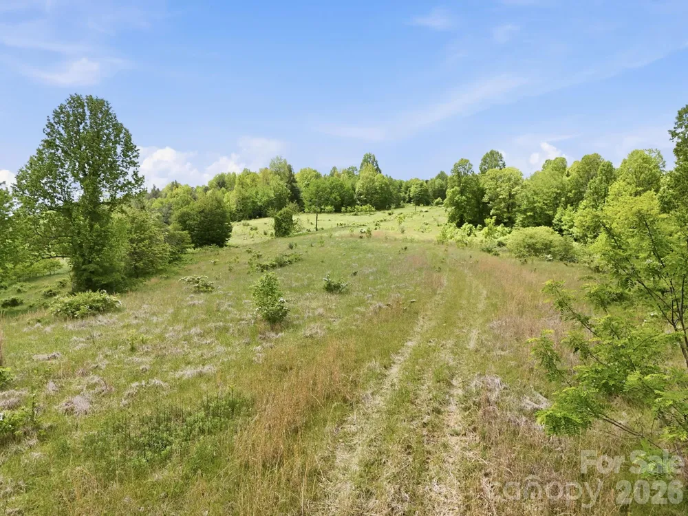 4105 Pinnacle Mountain Road Zirconia, NC 28790