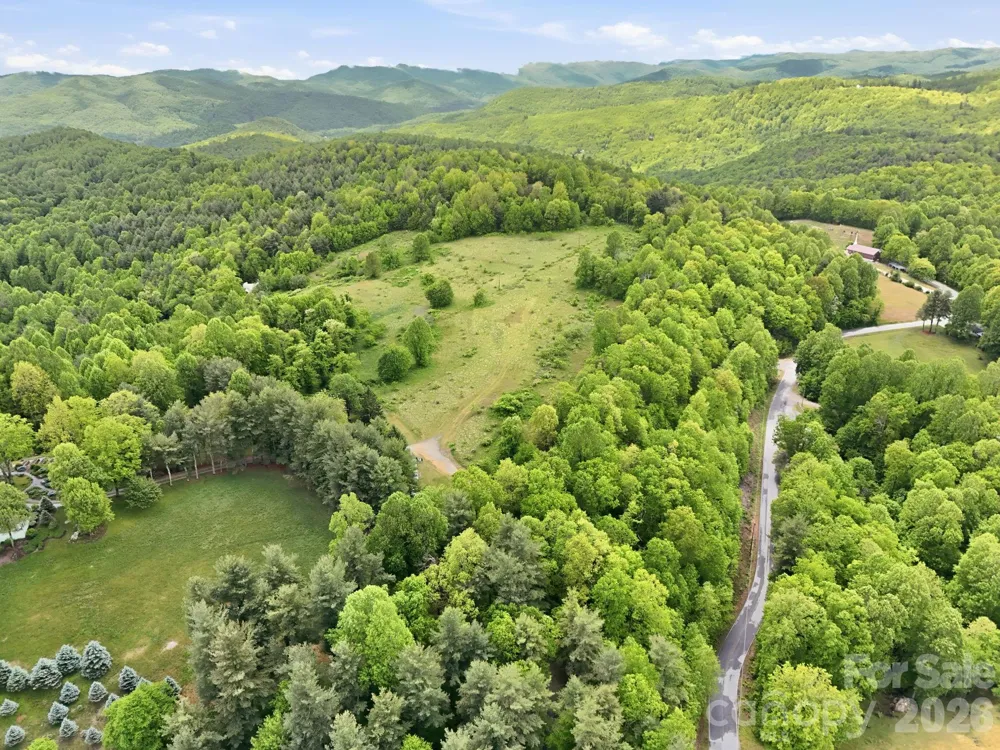 4105 Pinnacle Mountain Road Zirconia, NC 28790