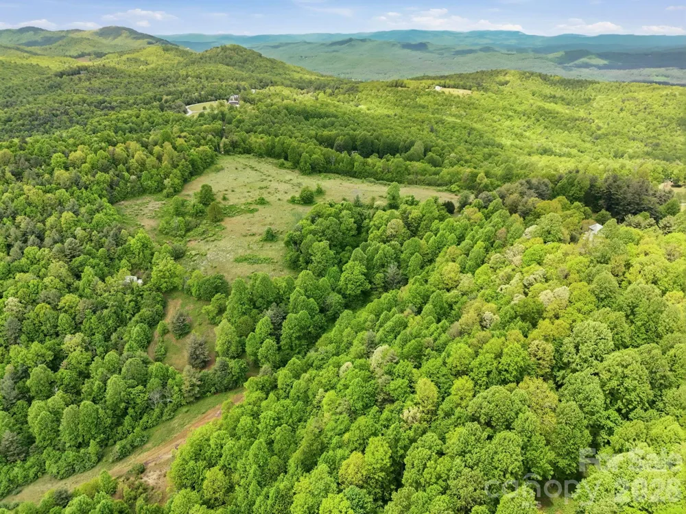 4105 Pinnacle Mountain Road Zirconia, NC 28790
