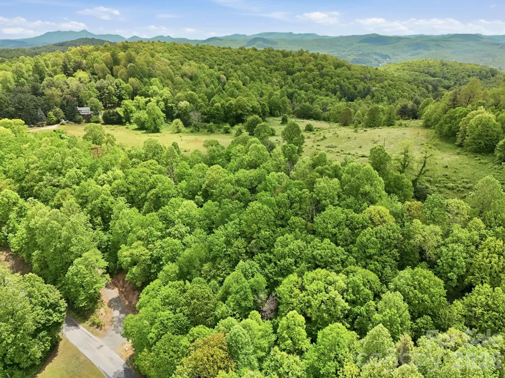 4105 Pinnacle Mountain Road Zirconia, NC 28790