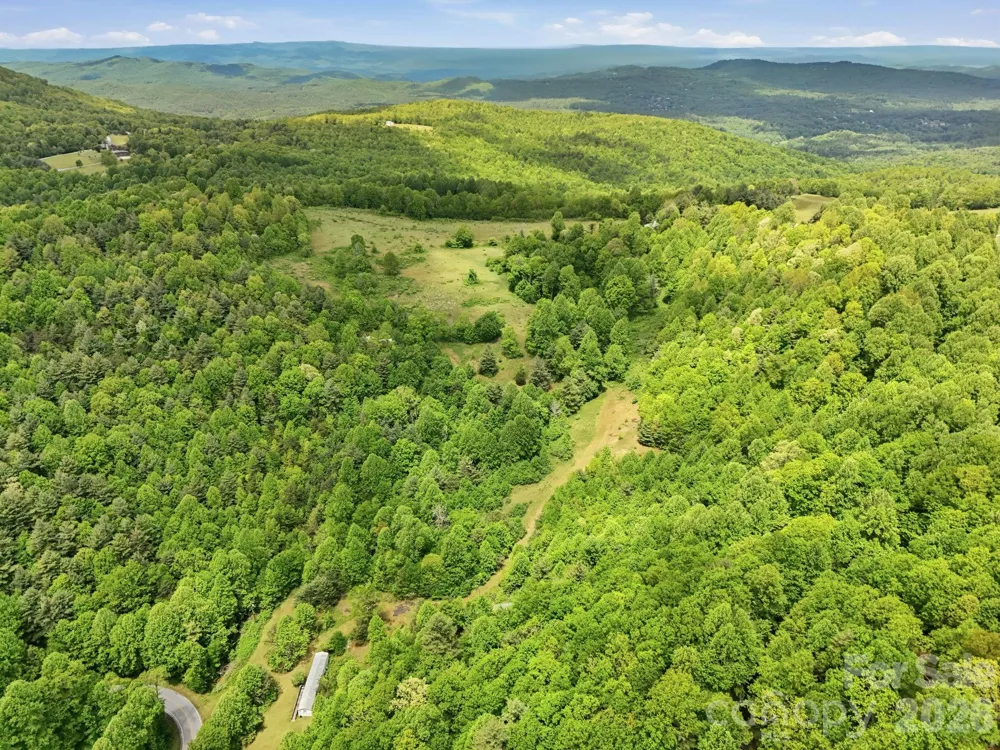 4105 Pinnacle Mountain Road Zirconia, NC 28790
