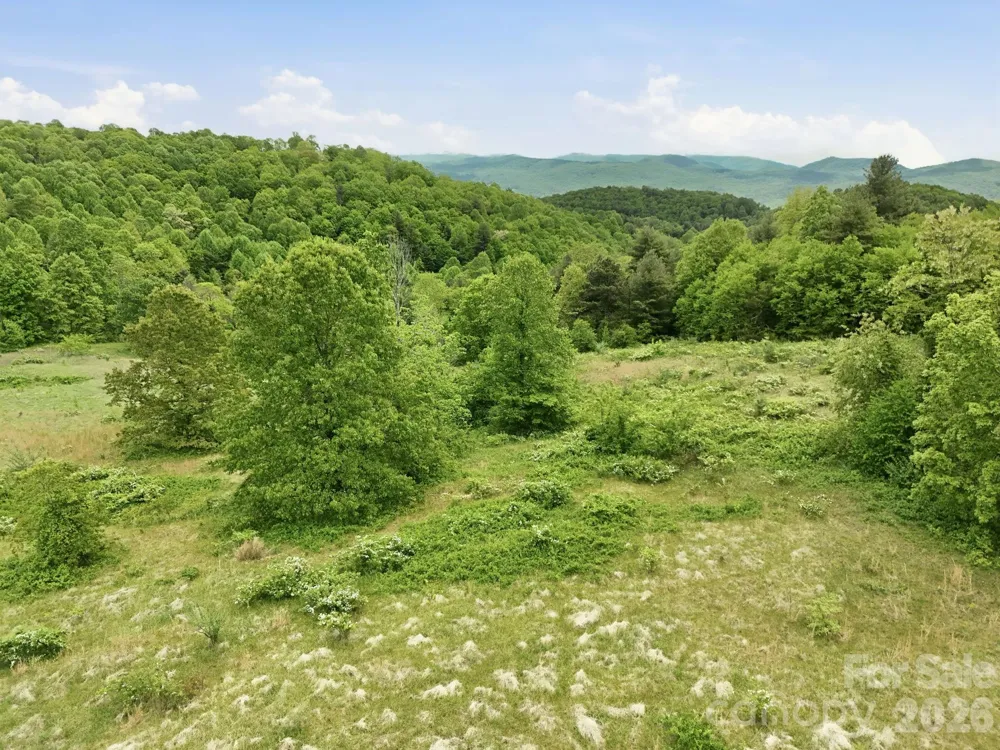 4105 Pinnacle Mountain Road Zirconia, NC 28790