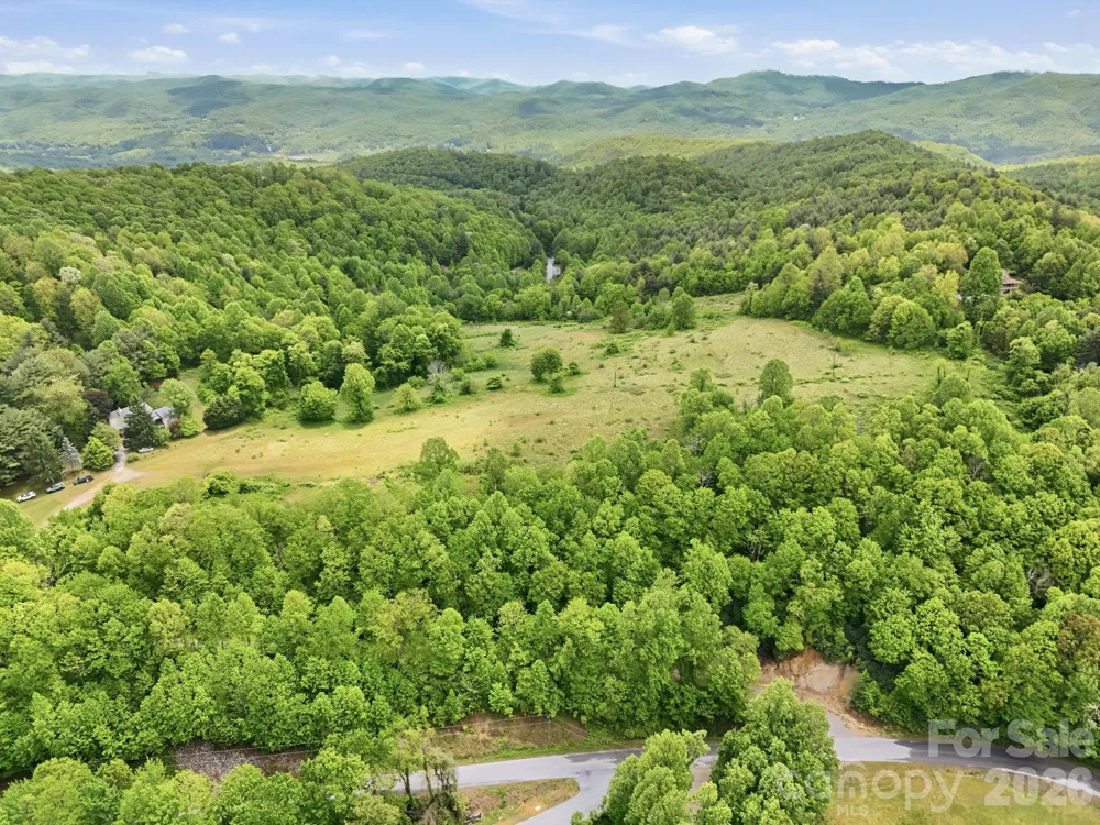 4105 Pinnacle Mountain Road Zirconia, NC 28790