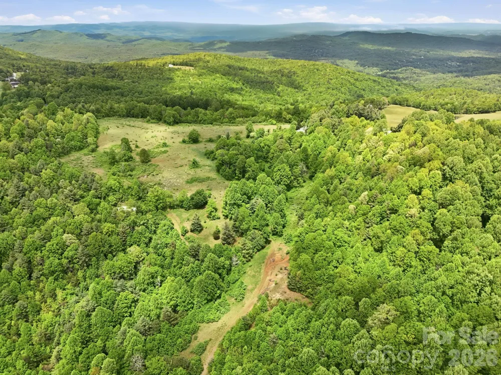 4105 Pinnacle Mountain Road Zirconia, NC 28790