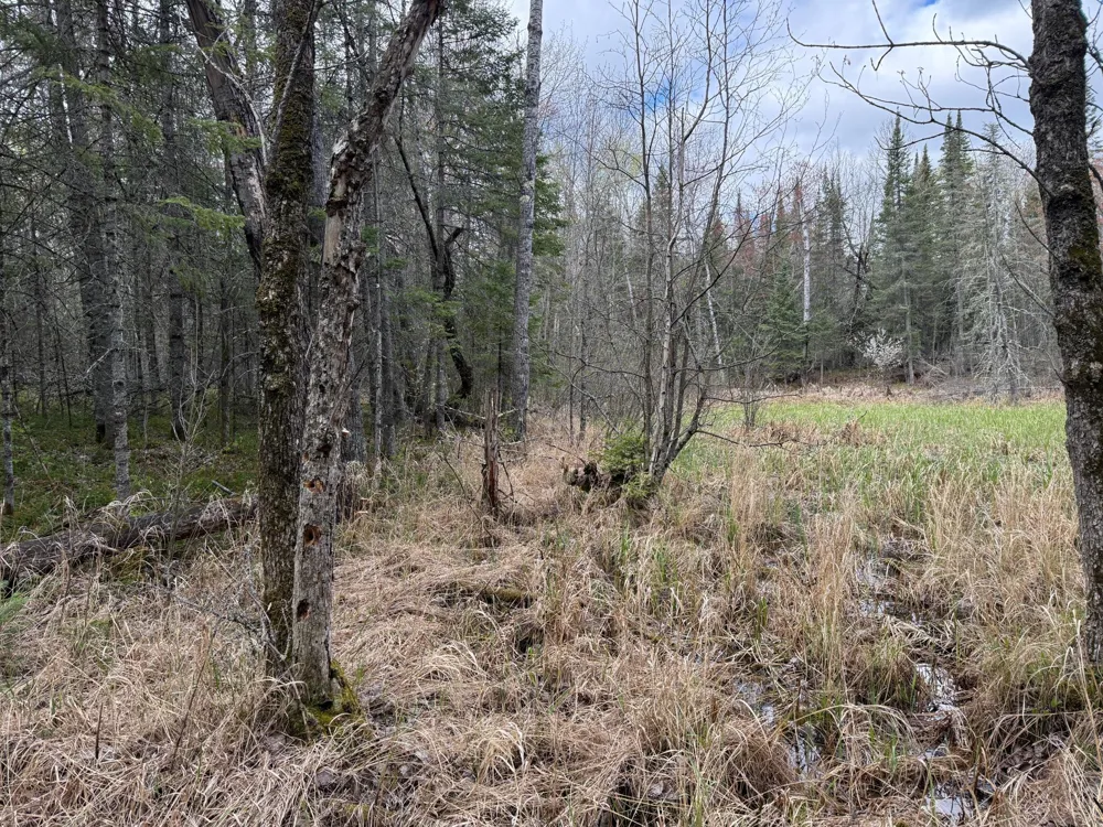 7355 Melrude Rd. W Cotton, MN 55724