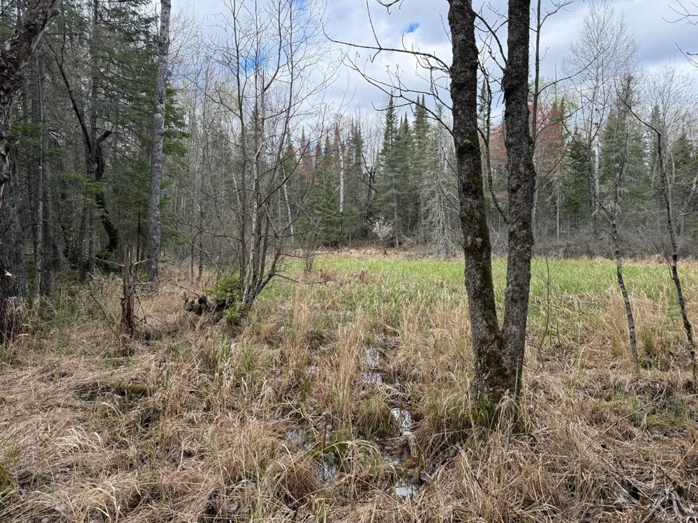 7355 Melrude Rd. W Cotton, MN 55724