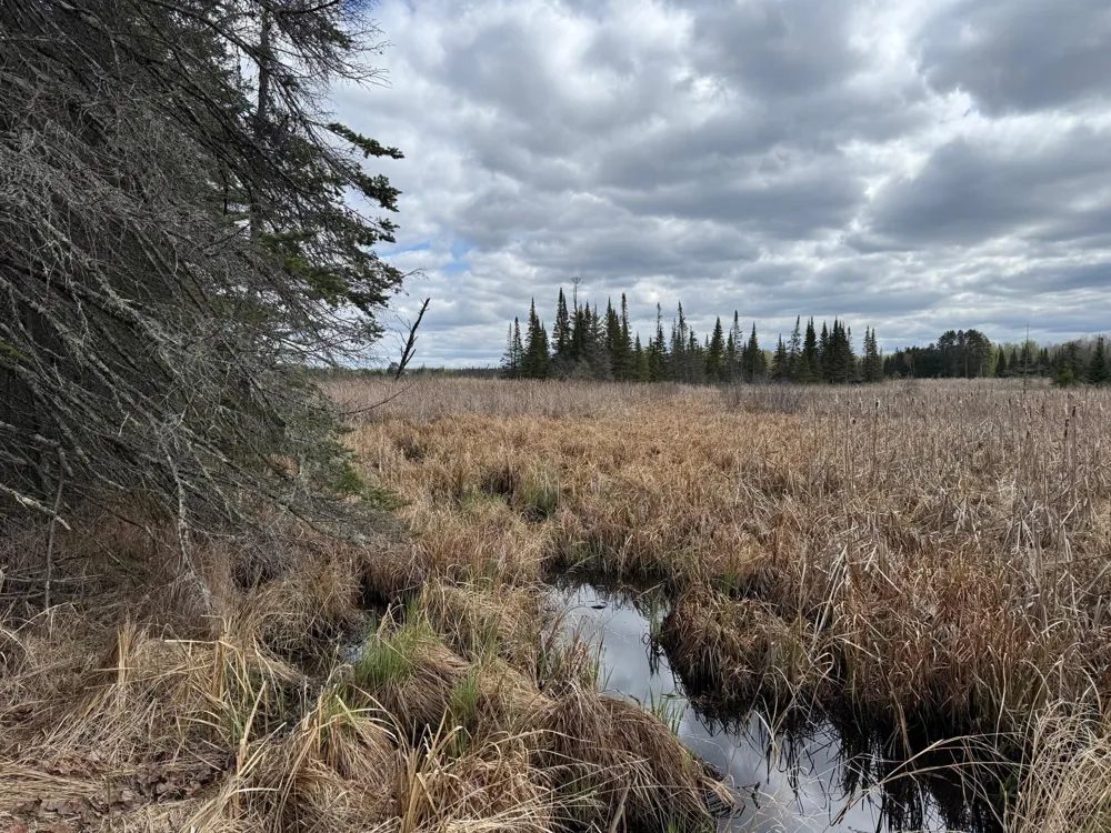 7355 Melrude Rd. W Cotton, MN 55724