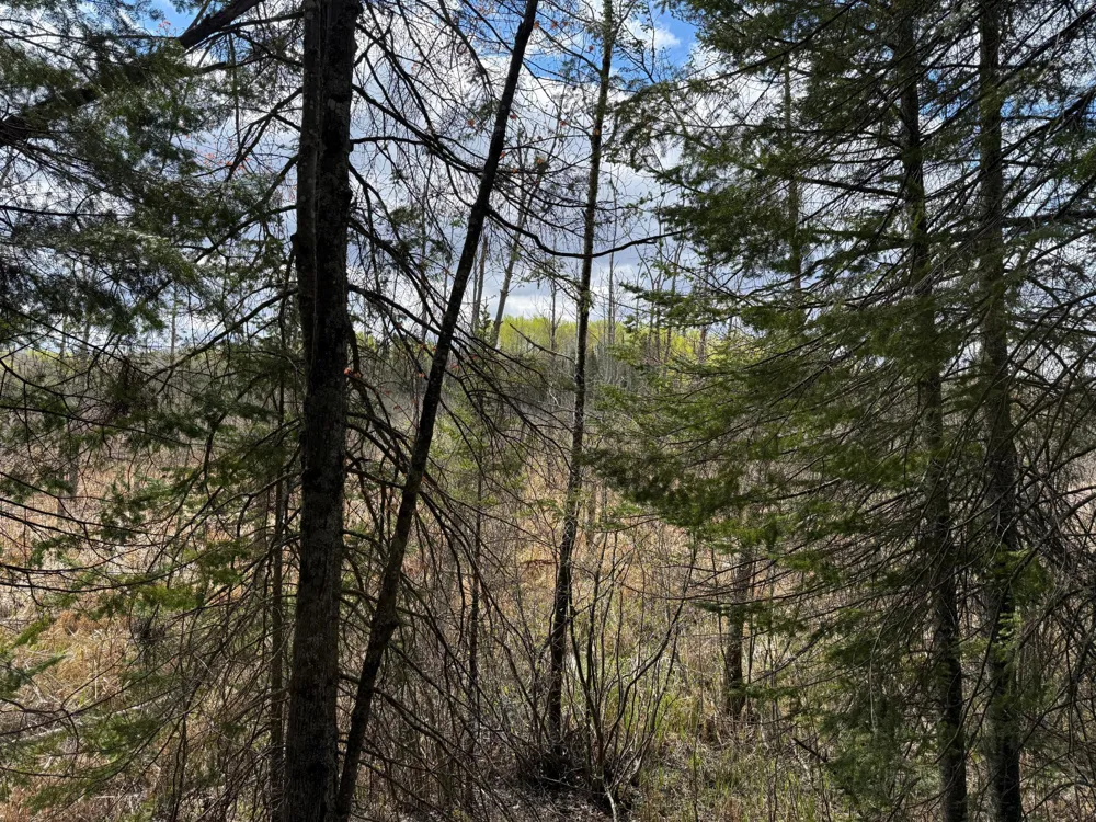 7355 Melrude Rd. W Cotton, MN 55724
