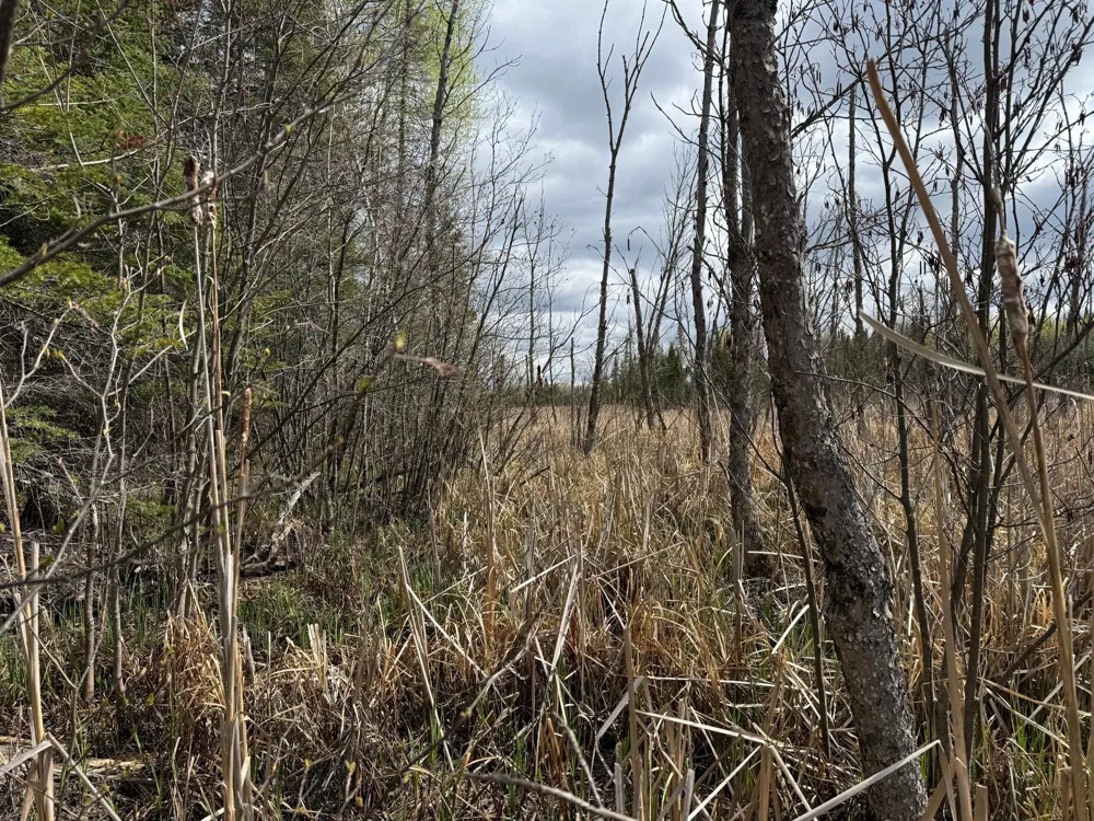 7355 Melrude Rd. W Cotton, MN 55724