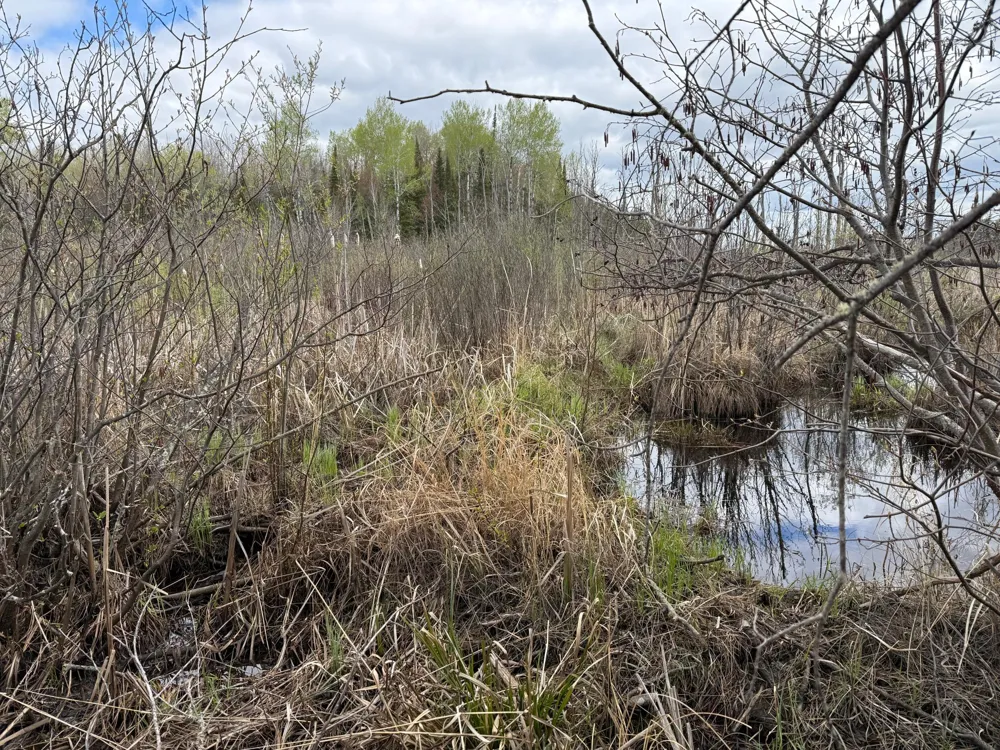 7355 Melrude Rd. W Cotton, MN 55724