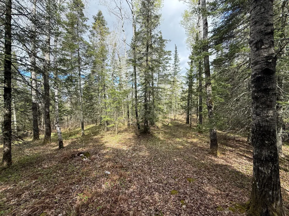 7355 Melrude Rd. W Cotton, MN 55724