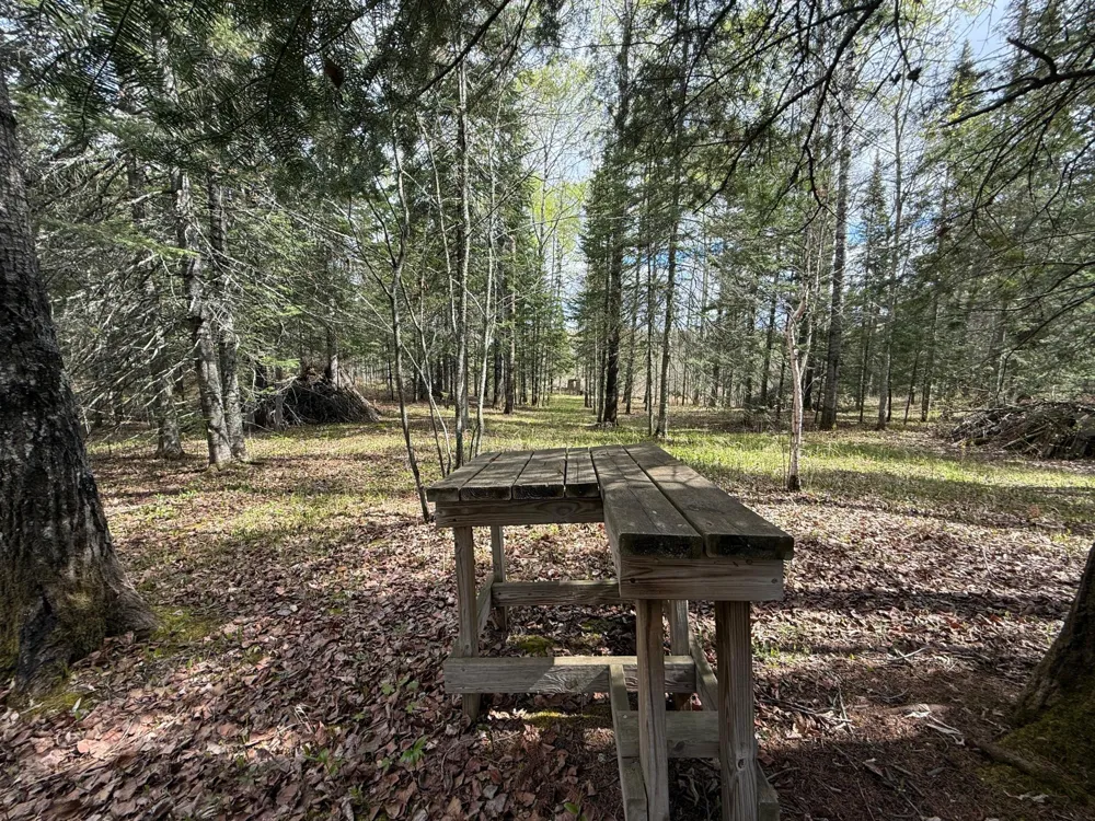7355 Melrude Rd. W Cotton, MN 55724