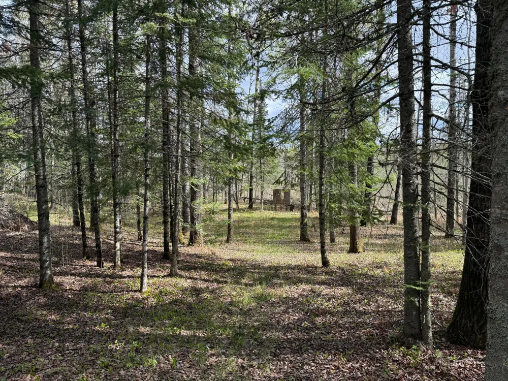 7355 Melrude Rd. W Cotton, MN 55724