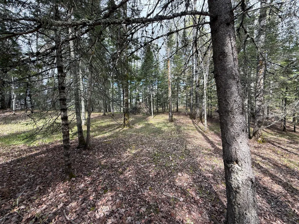 7355 Melrude Rd. W Cotton, MN 55724