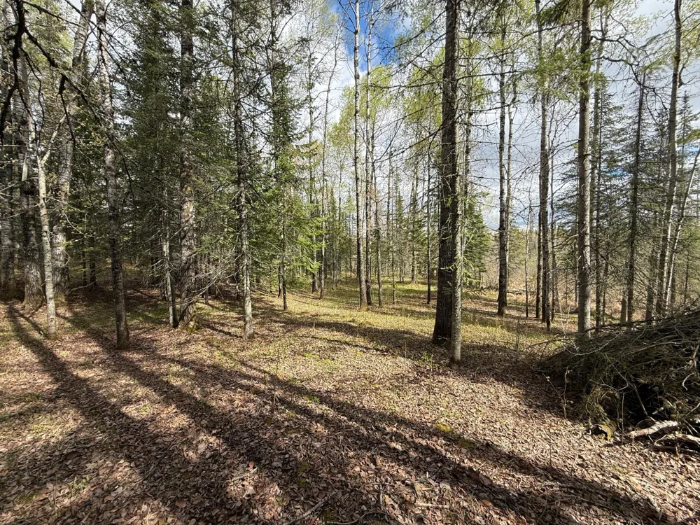 7355 Melrude Rd. W Cotton, MN 55724