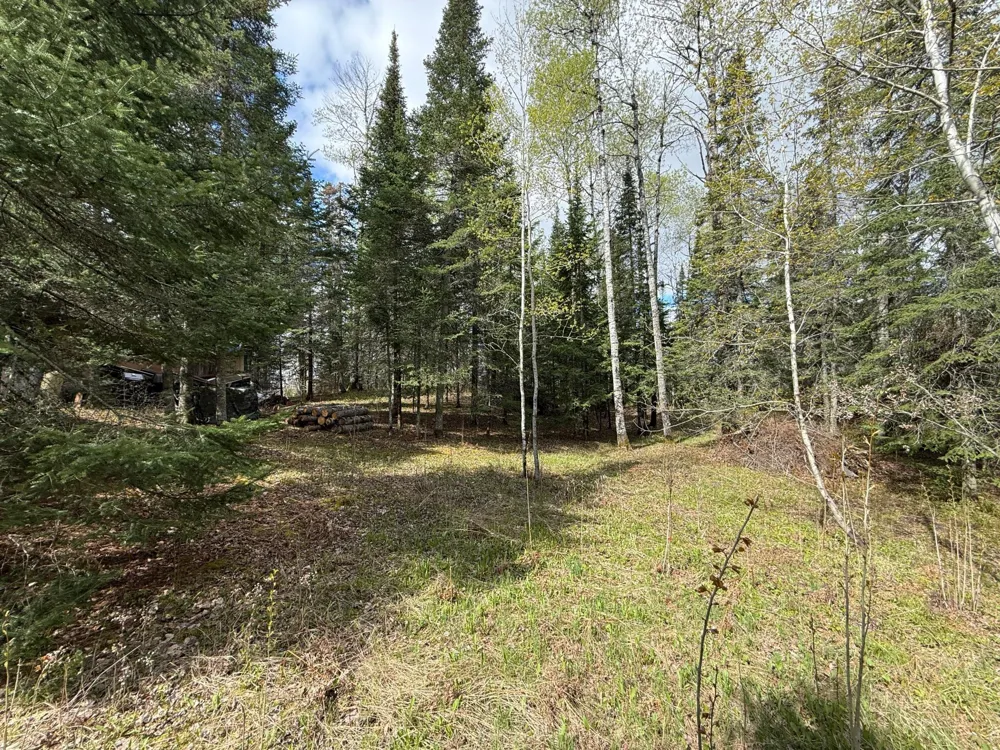 7355 Melrude Rd. W Cotton, MN 55724
