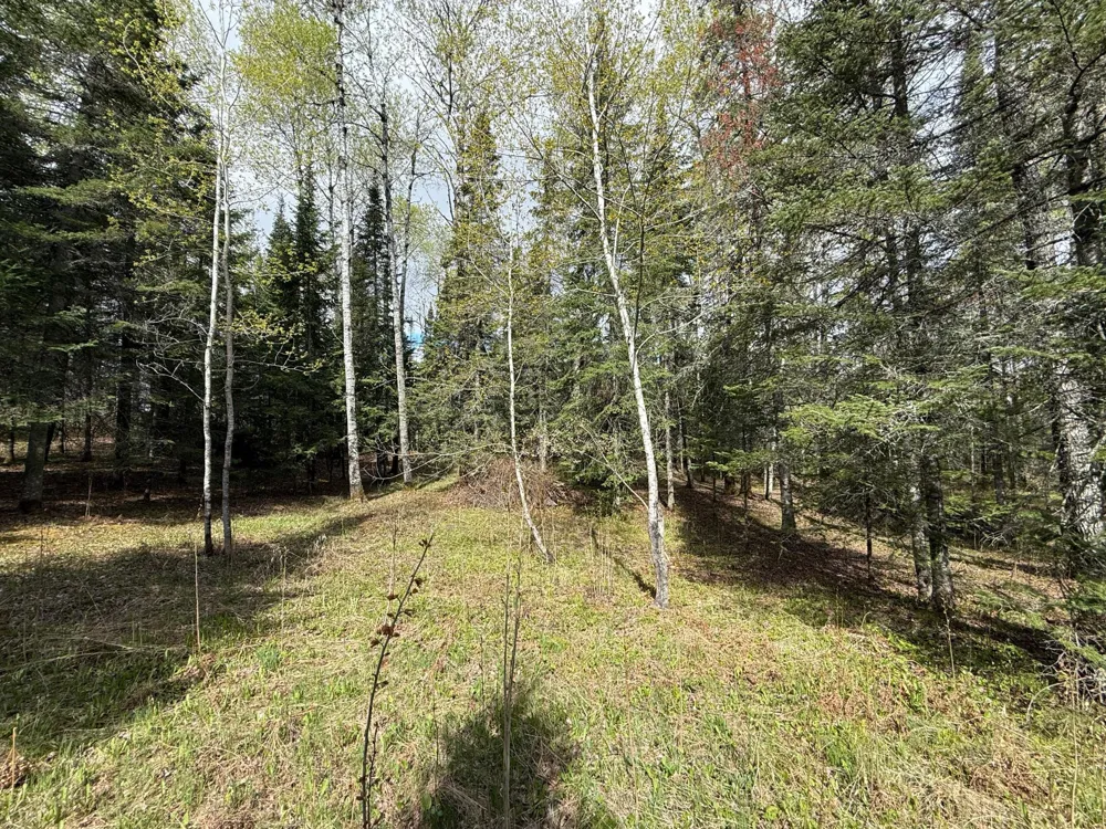 7355 Melrude Rd. W Cotton, MN 55724