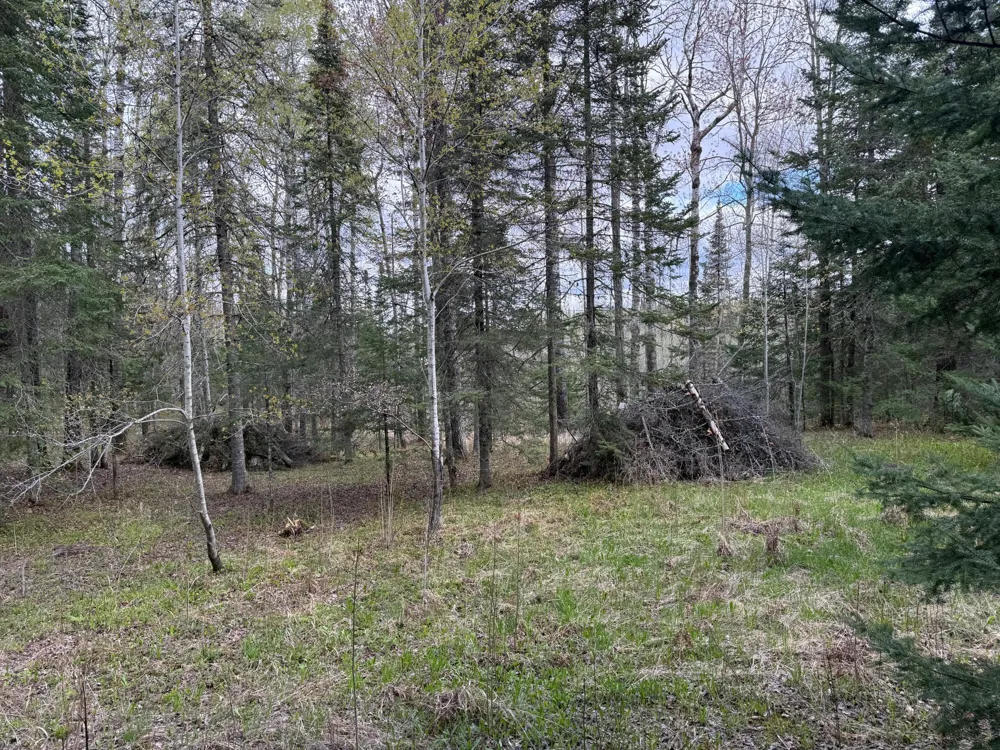7355 Melrude Rd. W Cotton, MN 55724