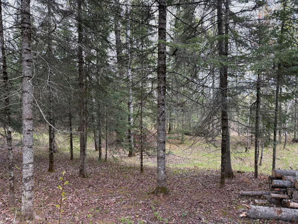 7355 Melrude Rd. W Cotton, MN 55724