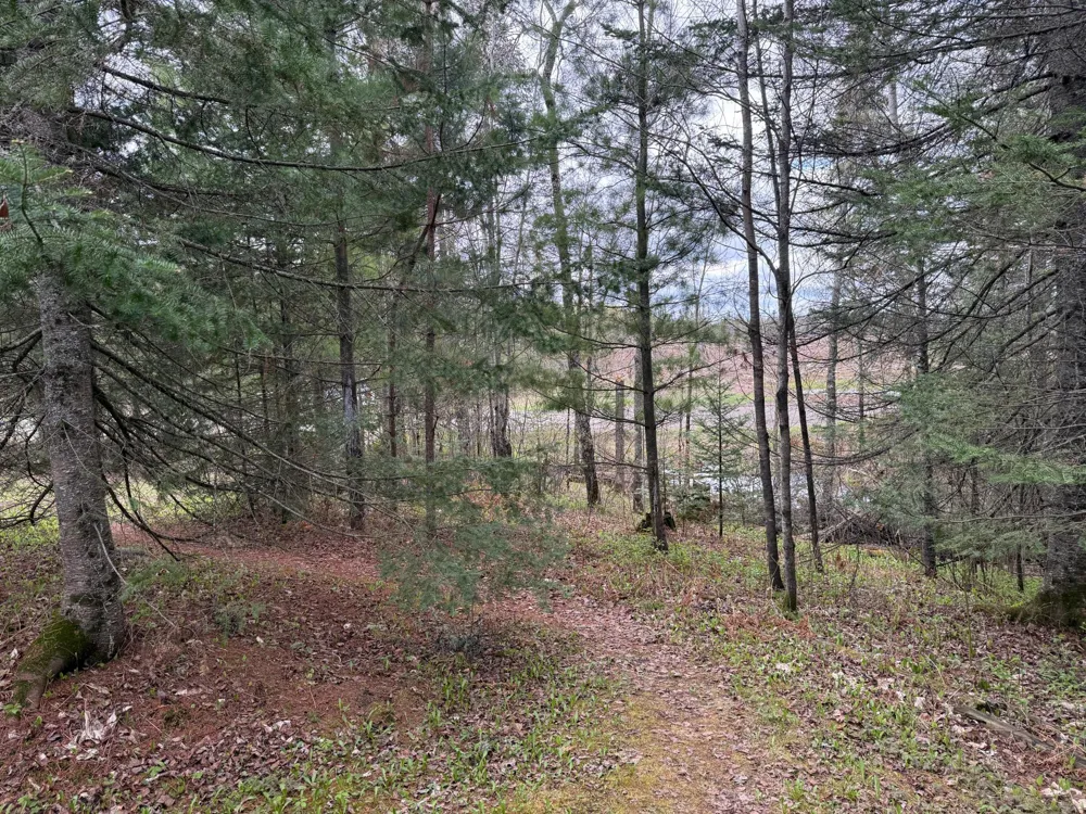 7355 Melrude Rd. W Cotton, MN 55724