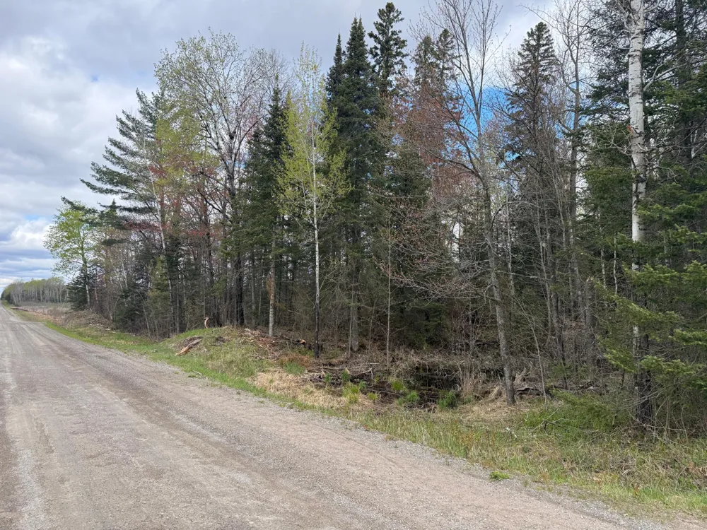 7355 Melrude Rd. W Cotton, MN 55724