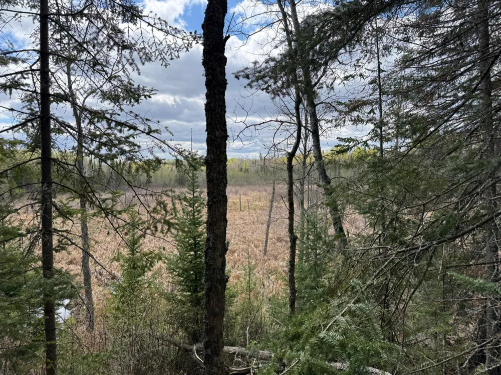 7355 Melrude Rd. W Cotton, MN 55724