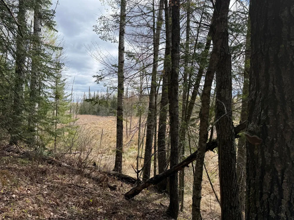 7355 Melrude Rd. W Cotton, MN 55724