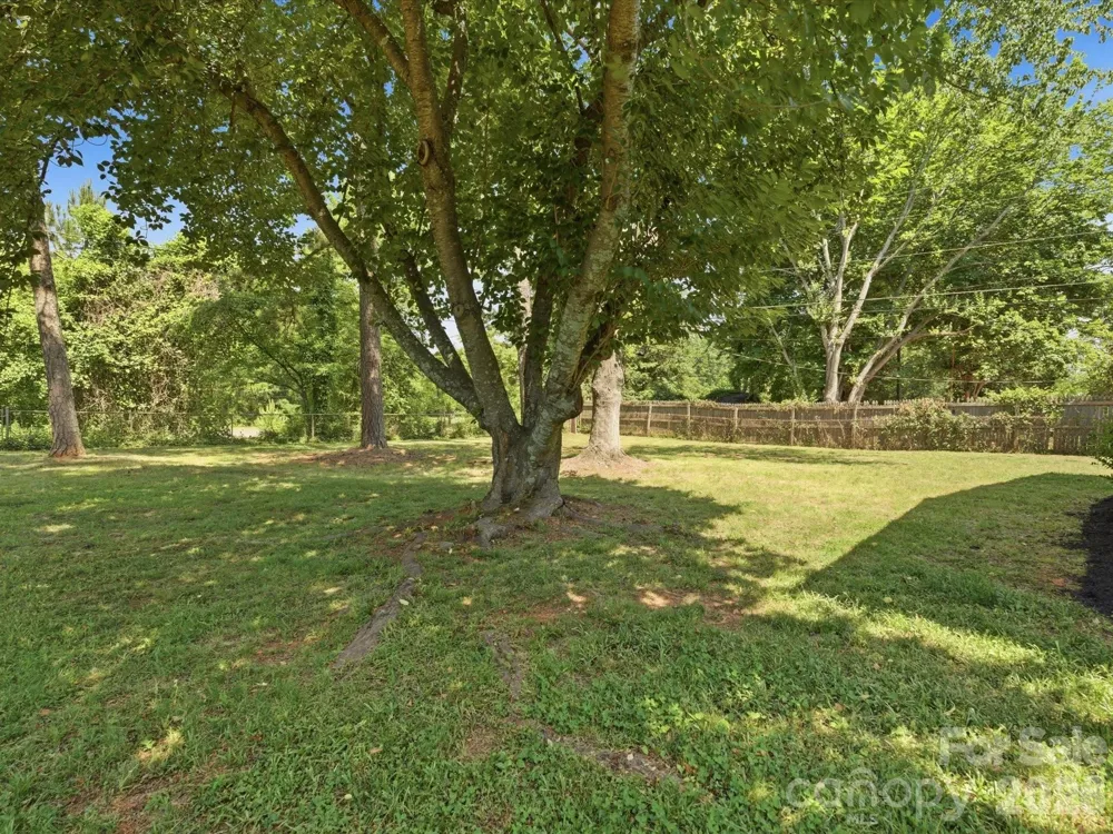 3633 Rosehaven Drive Charlotte, NC 28205