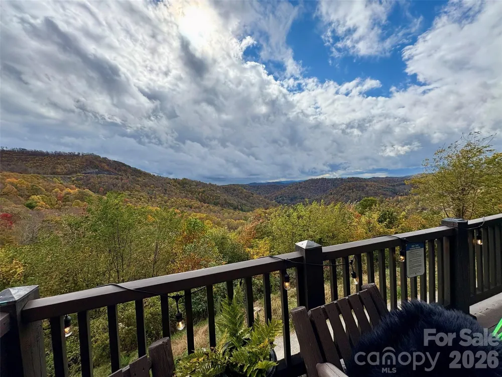 95 Breakaway Trail S Mars Hill, NC 28754
