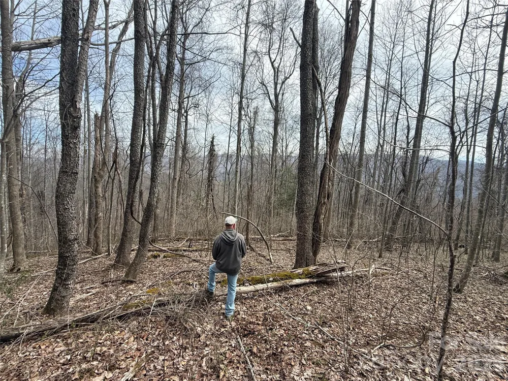 000 Caldwell Mountain Road Hot Springs, NC 28743