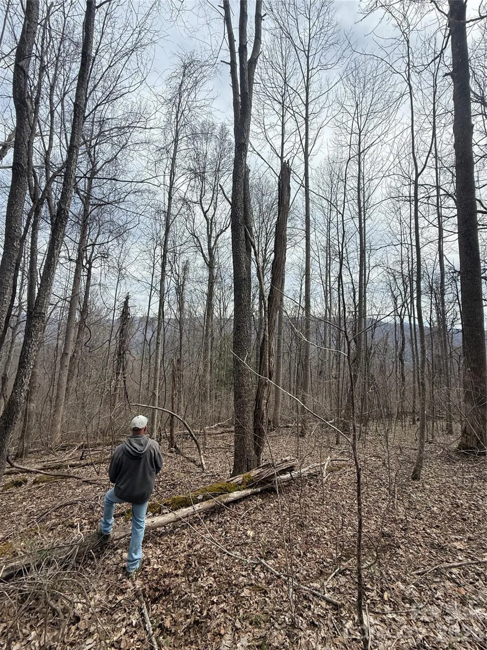 000 Caldwell Mountain Road Hot Springs, NC 28743