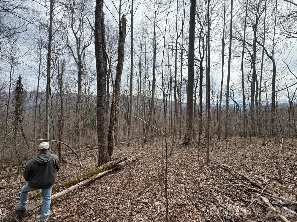 000 Caldwell Mountain Road Hot Springs, NC 28743