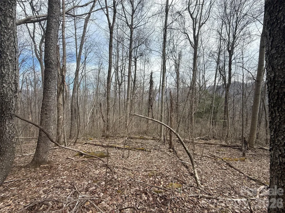 000 Caldwell Mountain Road Hot Springs, NC 28743