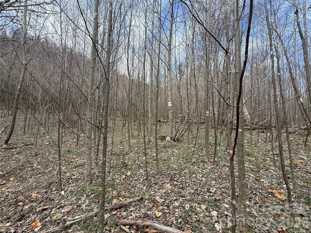 000 Caldwell Mountain Road Hot Springs, NC 28743