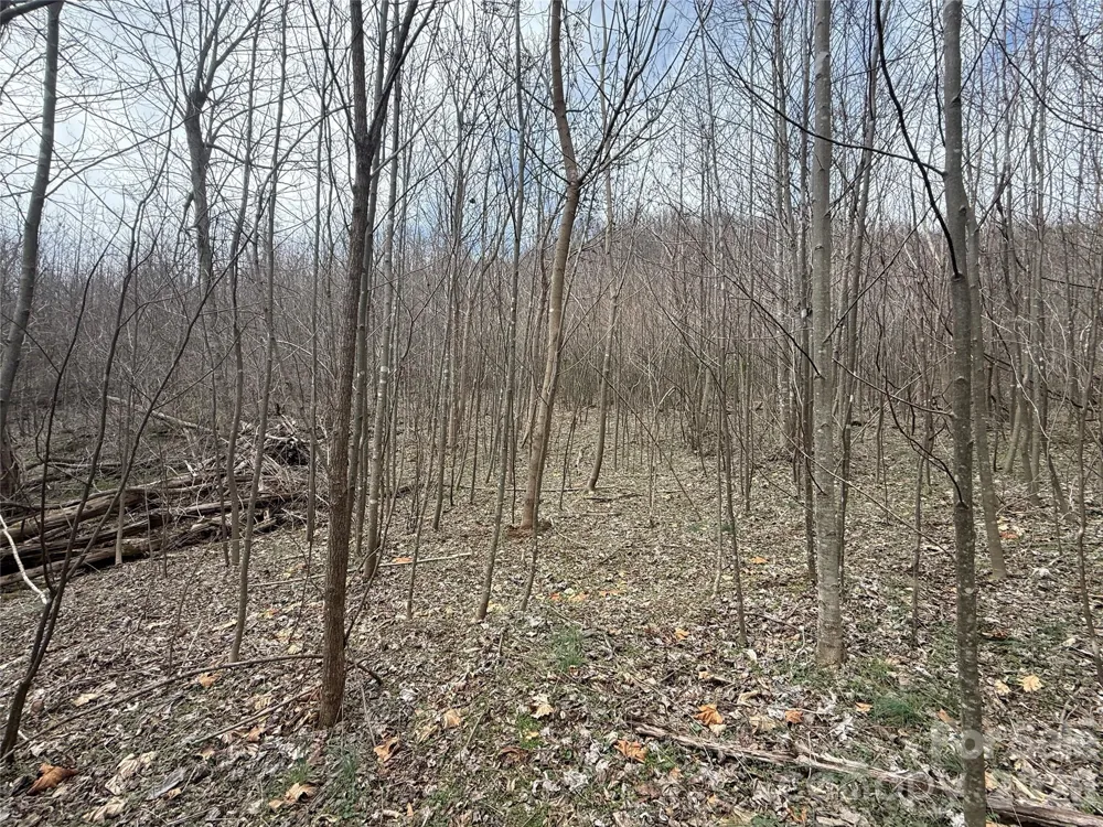 000 Caldwell Mountain Road Hot Springs, NC 28743